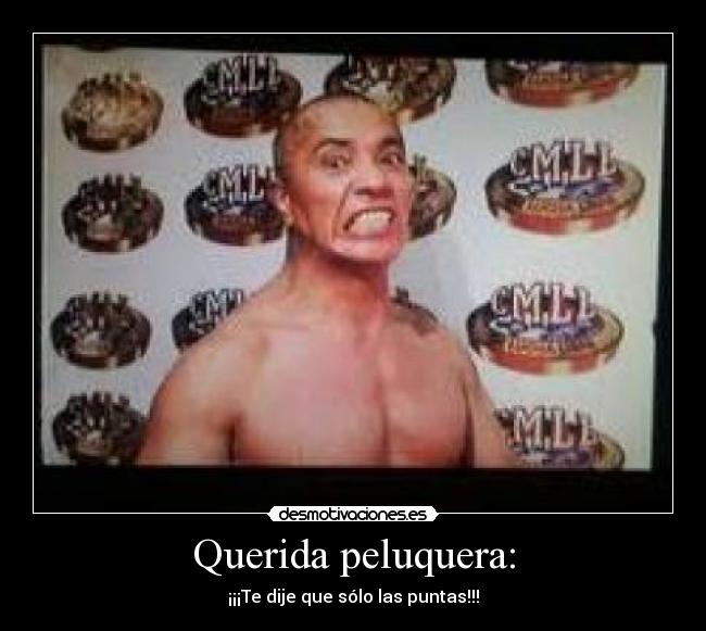 Querida peluquera: - 