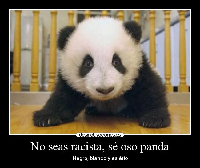 No seas racista, sé oso panda - Negro, blanco y asiátio
