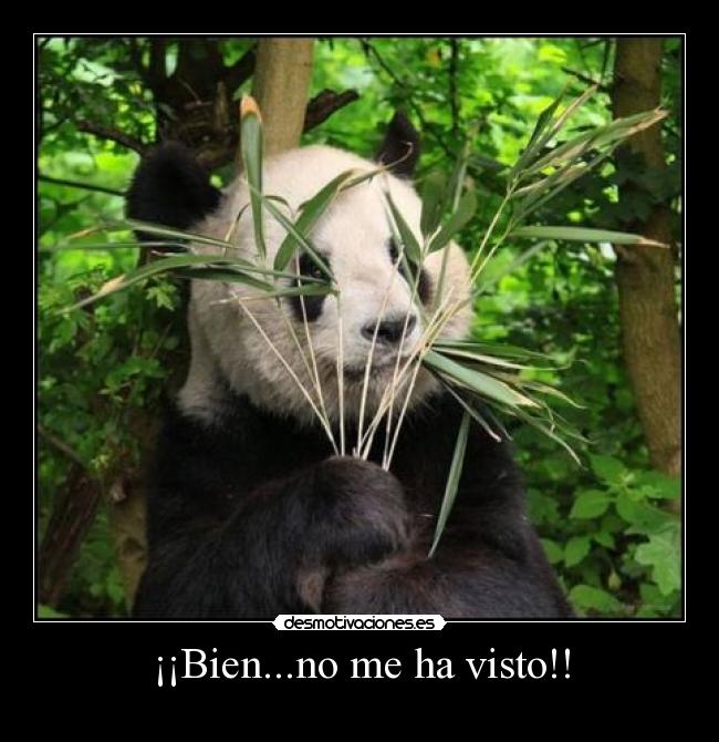¡¡Bien...no me ha visto!! -