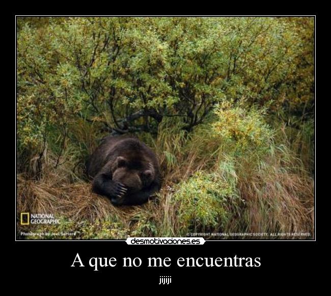 A que no me encuentras - 