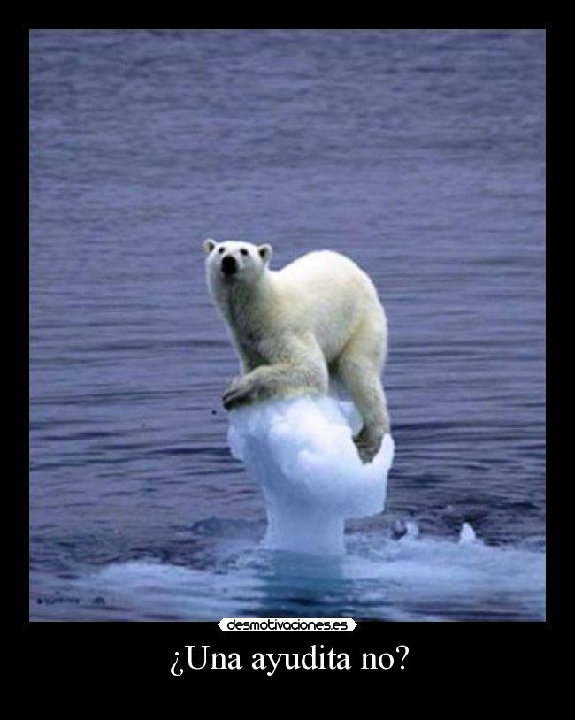 ¿Una ayudita no? -