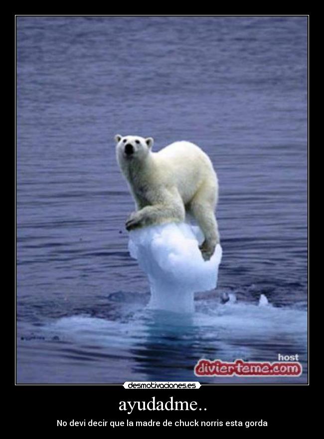 ayudadme.. - No devi decir que la madre de chuck norris esta gorda