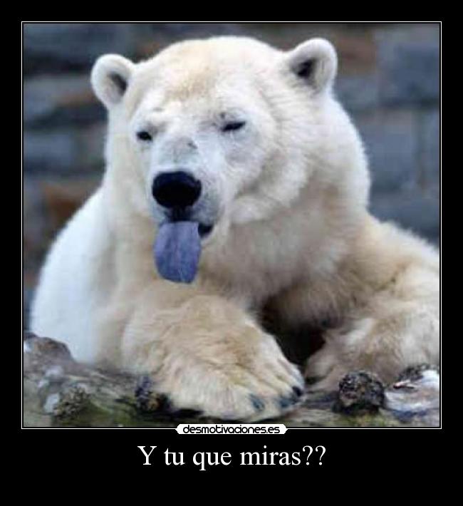 carteles que miras desmotivaciones