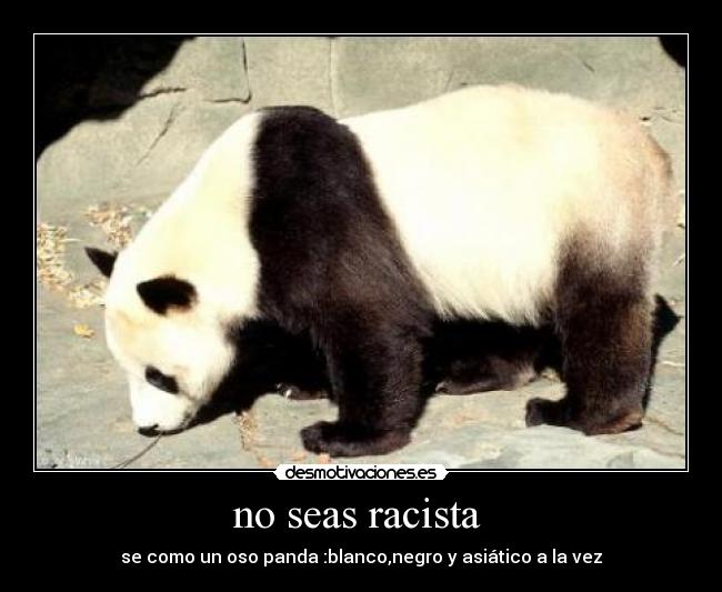 no seas racista  - se como un oso panda :blanco,negro y asiático a la vez