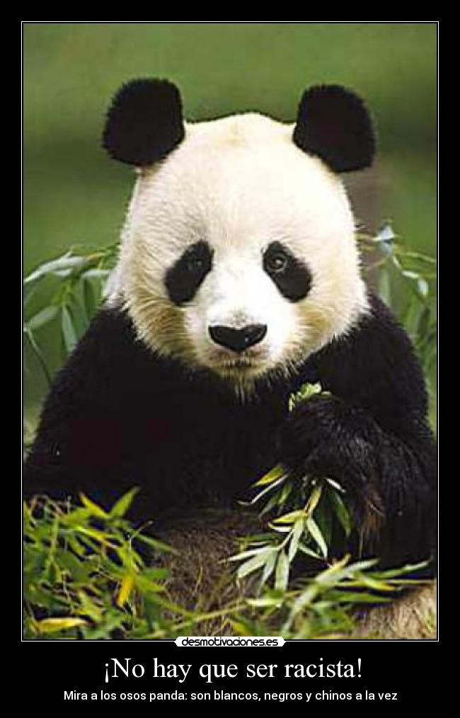 carteles cillitbang desmotivaciones