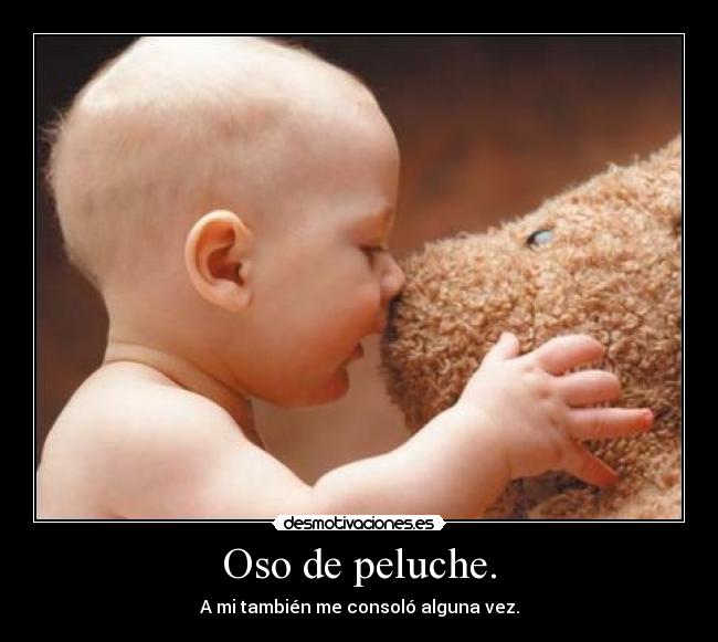 Oso de peluche. -