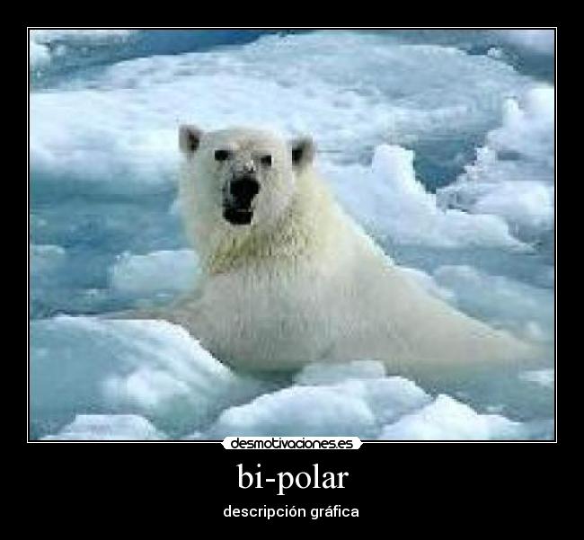 bi-polar - descripción gráfica 