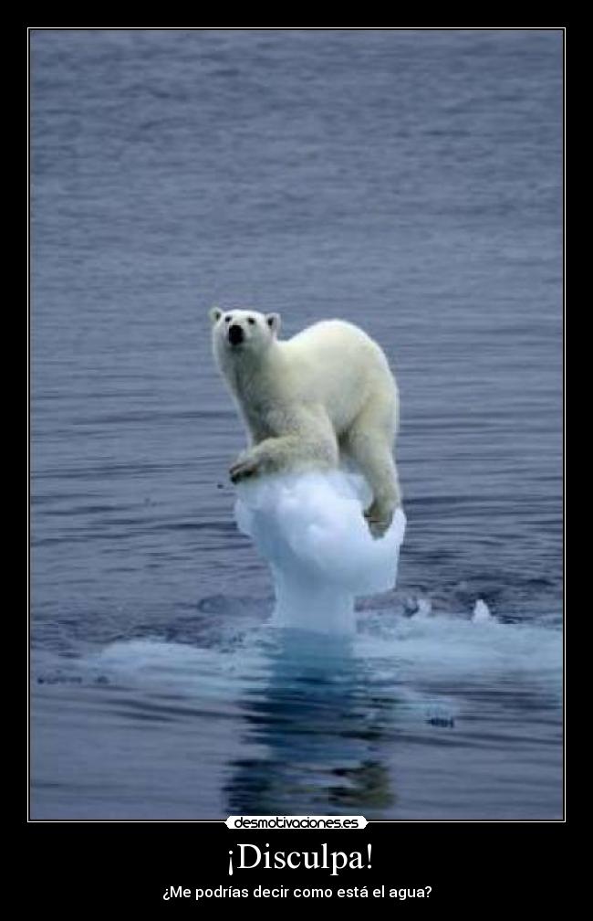 ¡Disculpa! - ¿Me podrías decir como está el agua?