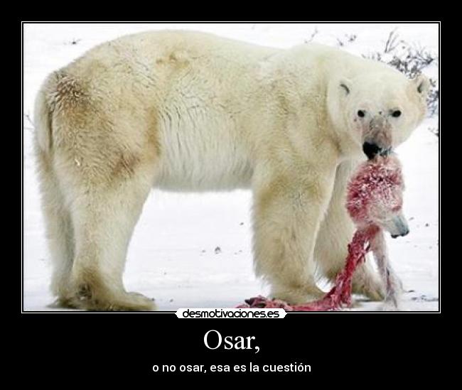 Osar, - 