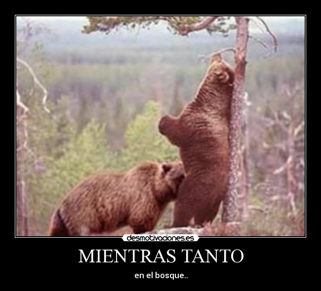 MIENTRAS TANTO -