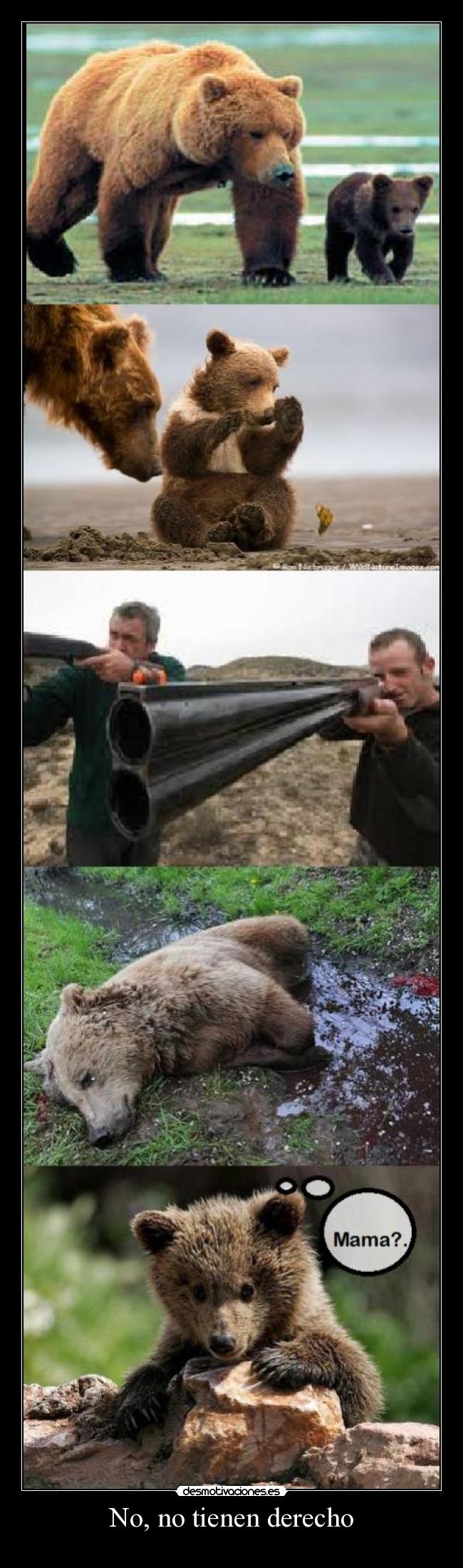 No, no tienen derecho - 