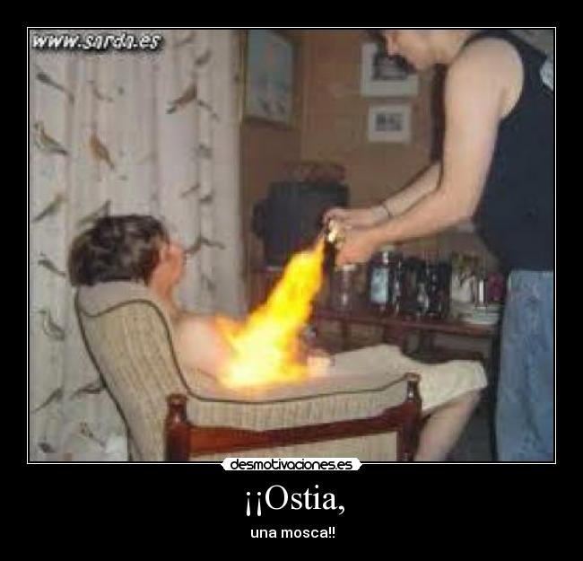 ¡¡Ostia, - una mosca!!