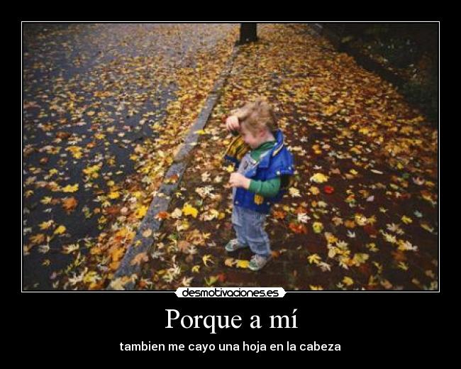 Porque a mí - tambien me cayo una hoja en la cabeza
