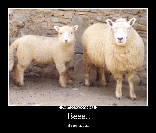 Beee.. - Beee túúú..