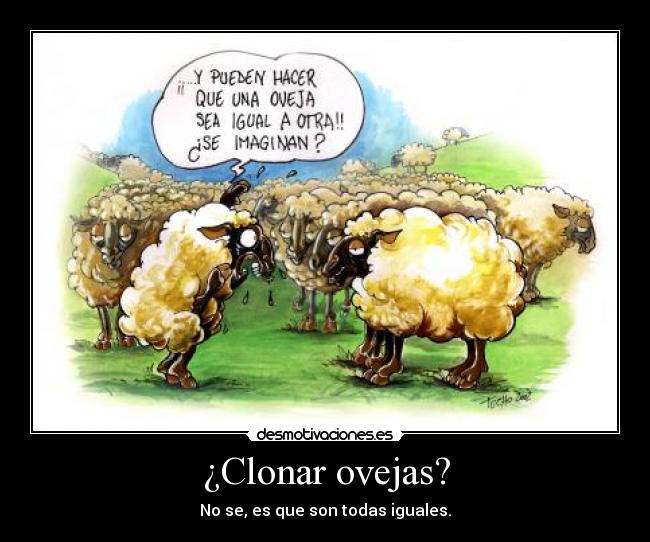 ¿Clonar ovejas? - No se, es que son todas iguales.