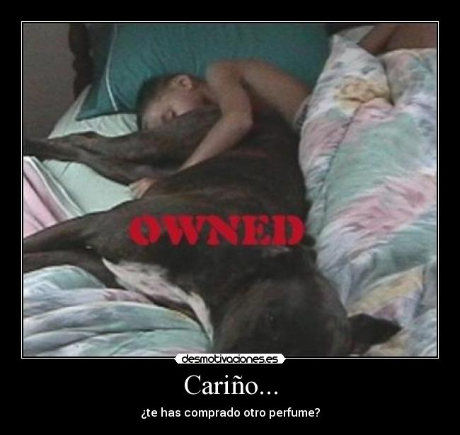 Cariño... - 
