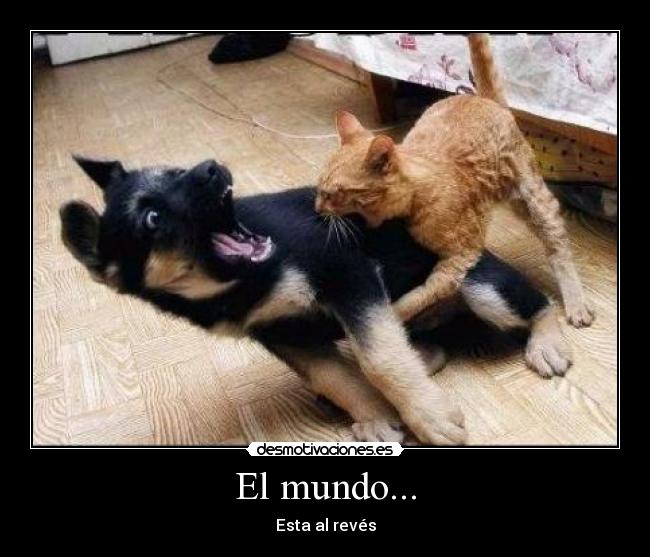 El mundo... - Esta al revés