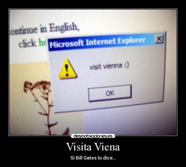 Visita Viena - Si Bill Gates lo dice...