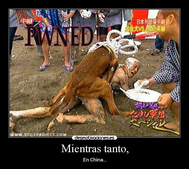 Forum Image: http://img.desmotivaciones.es/201101/owned_1.jpg