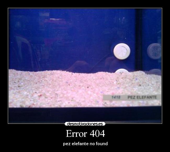 Error 404 - 