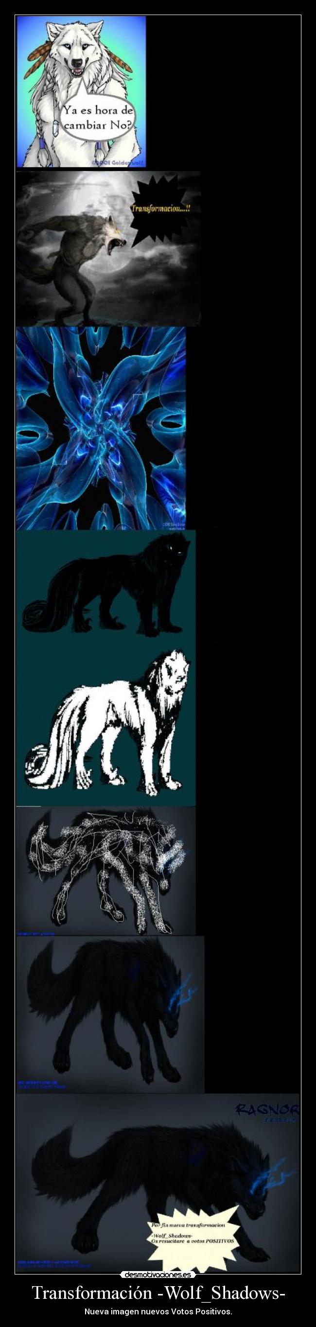 carteles -wolf_shadows- desmotivaciones