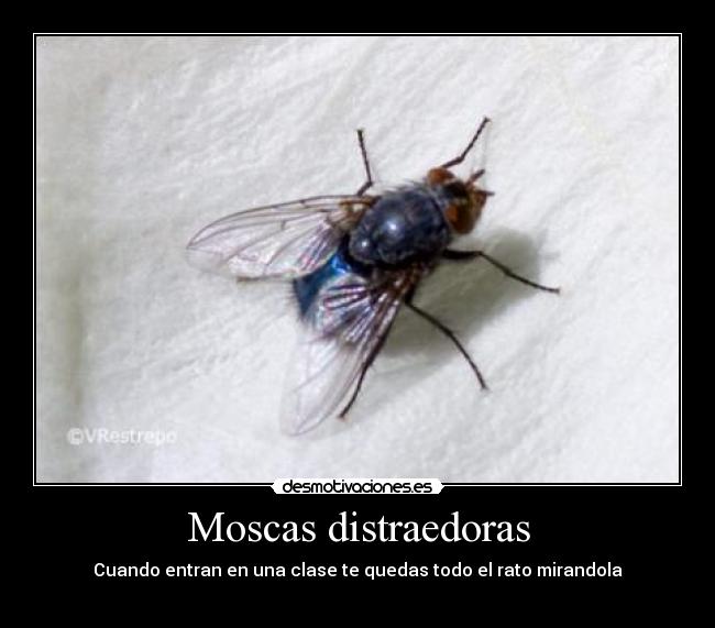 carteles gas2103 desmotivaciones