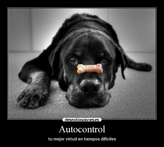 carteles autocontrol desmotivaciones