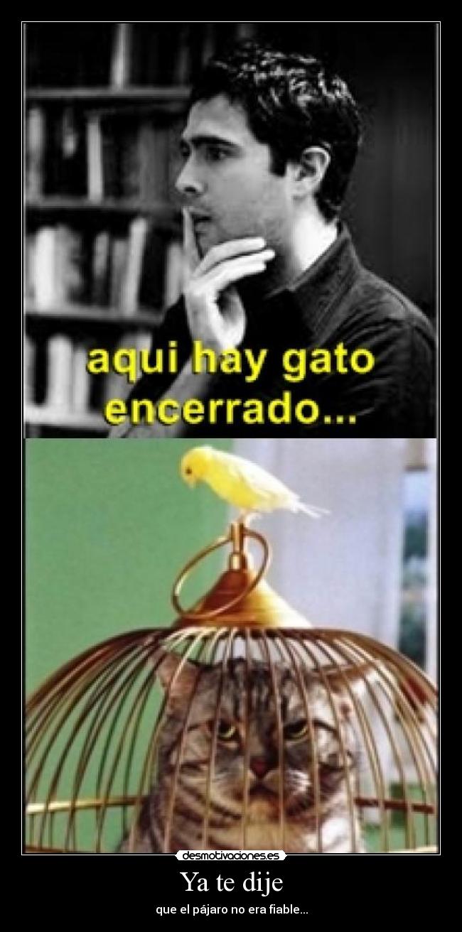 carteles dije desmotivaciones