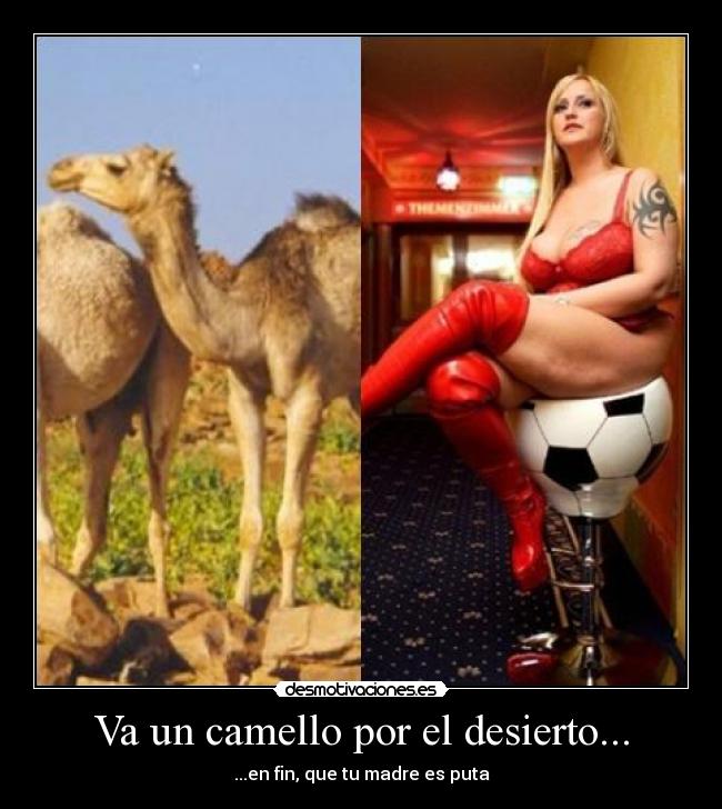Va un camello por el desierto... -
