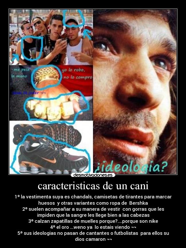 caracteristicas de un cani - 1º la vestimenta suya es chandals, camisetas de tirantes para marcar
huesos  y otras variantes como ropa de  Bershka
2º suelen acompañar a su manera de vestir  con gorras que les
impiden que la sangre les llege bien a las cabezas
3º calzan zapatillas de muelles porque?....porque son nike
4º el oro ...weno ya  lo estais viendo ¬¬
5º sus ideologias no pasan de cantantes o futbolistas  para ellos su
dios camaron ¬¬