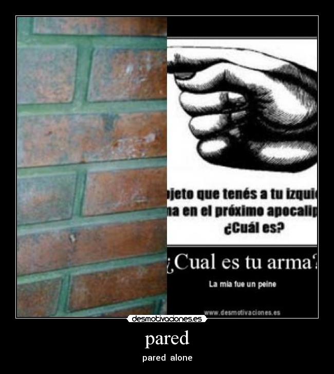 pared - pared alone