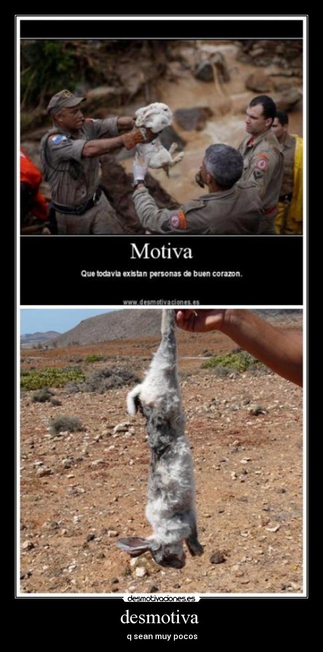 desmotiva  - 