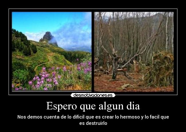 Espero que algun dia - Nos demos cuenta de lo dificil que es crear lo hermoso y lo facil que es destruirlo
