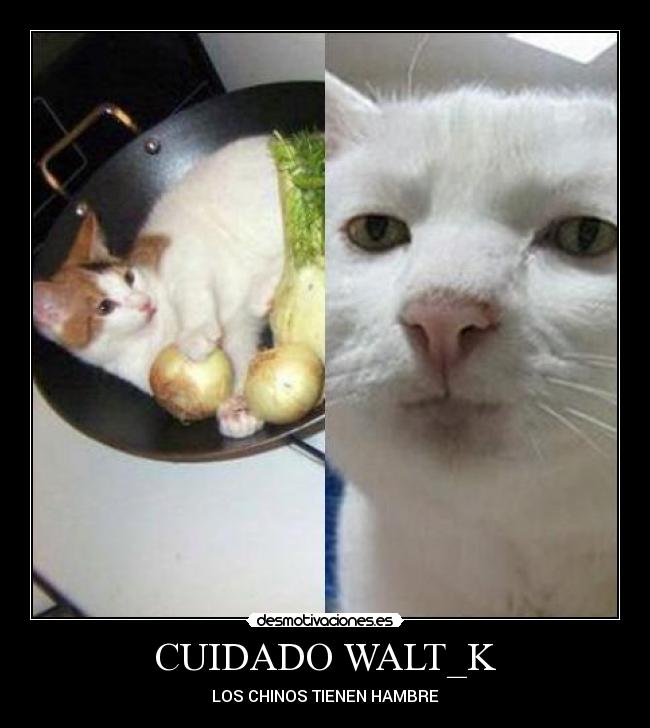 CUIDADO WALT_K - LOS CHINOS TIENEN HAMBRE