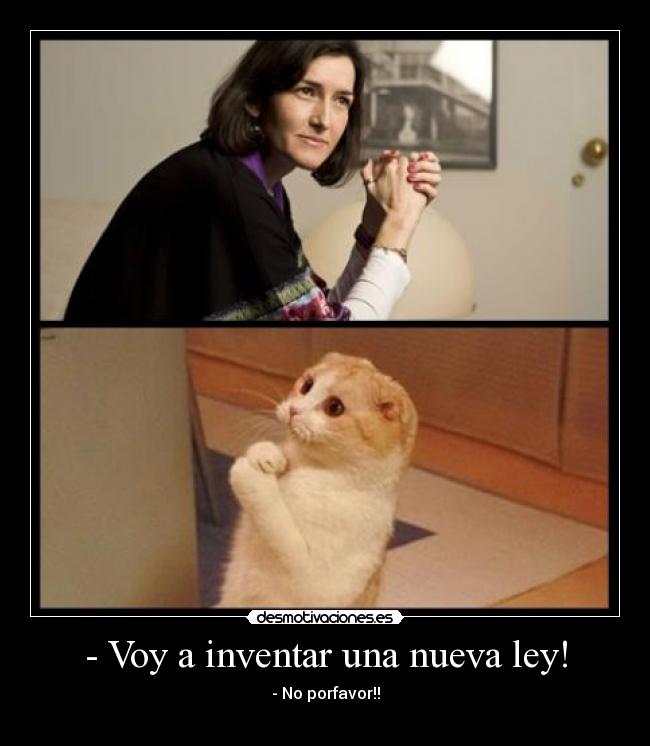 - Voy a inventar una nueva ley! -
