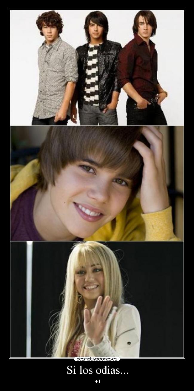 carteles justin bieber hanna montana jonas brothers desmotivaciones