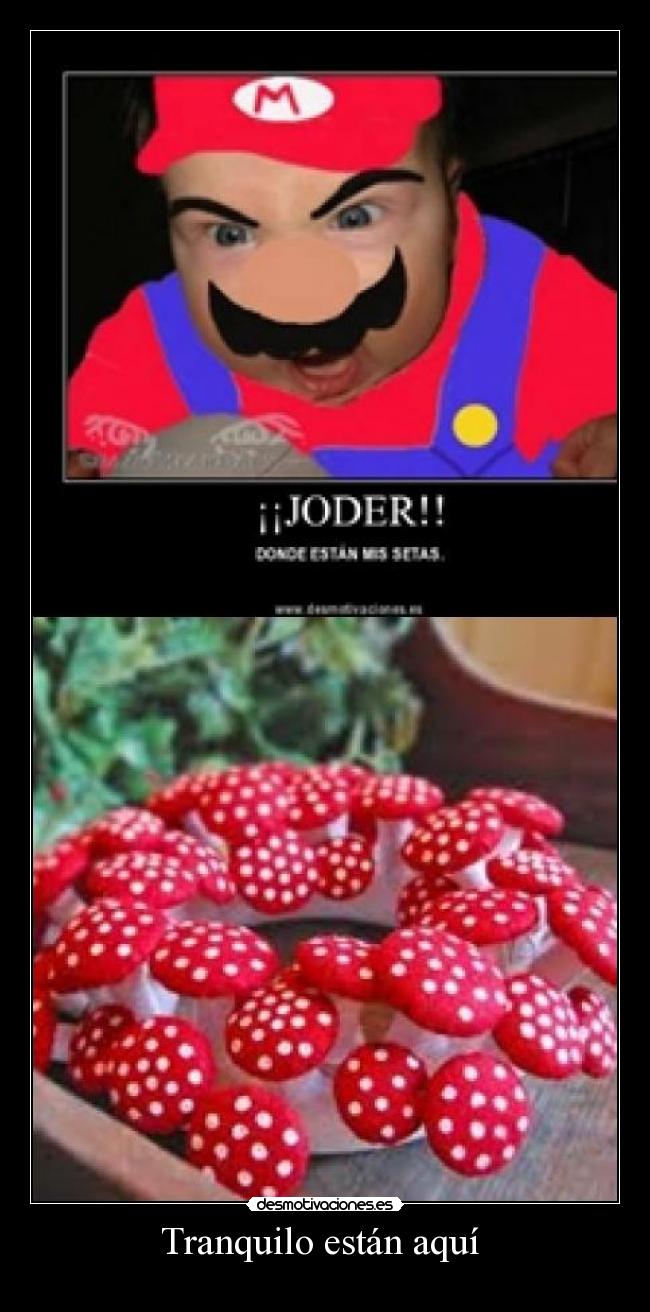 Tranquilo están aquí -