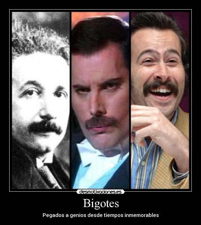 Bigotes - Pegados a genios desde tiempos inmemorables