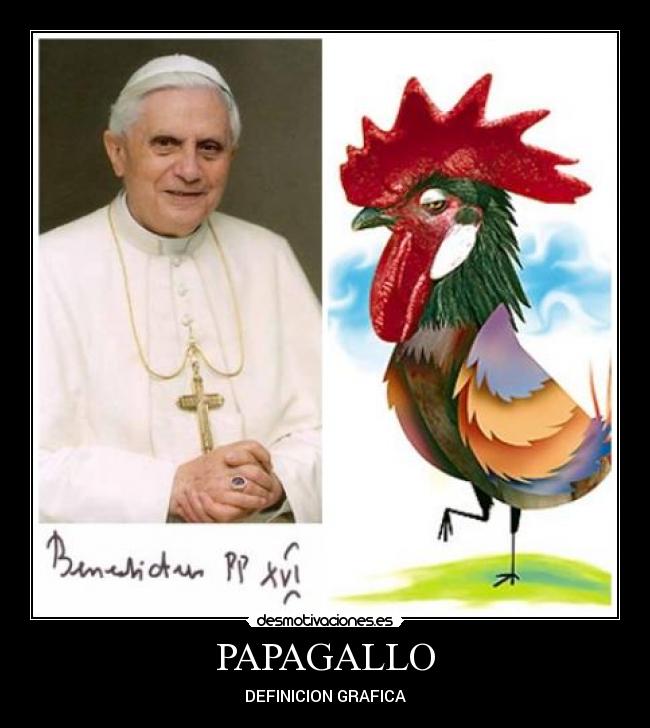 PAPAGALLO - DEFINICION GRAFICA