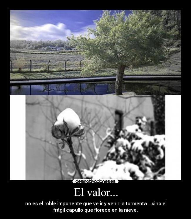 El valor... -