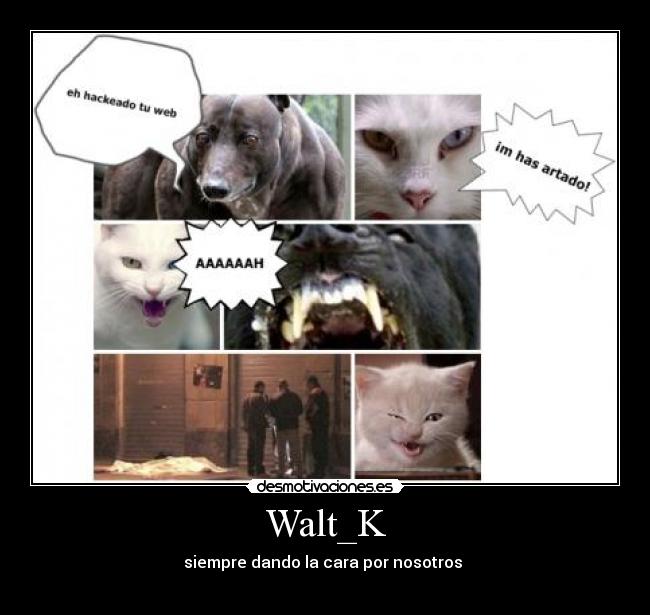 Walt_K - siempre dando la cara por nosotros