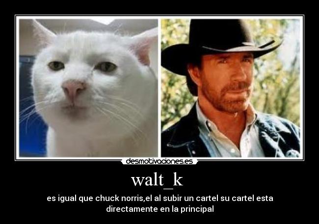 walt_k - es igual que chuck norris,el al subir un cartel su cartel esta
directamente en la principal