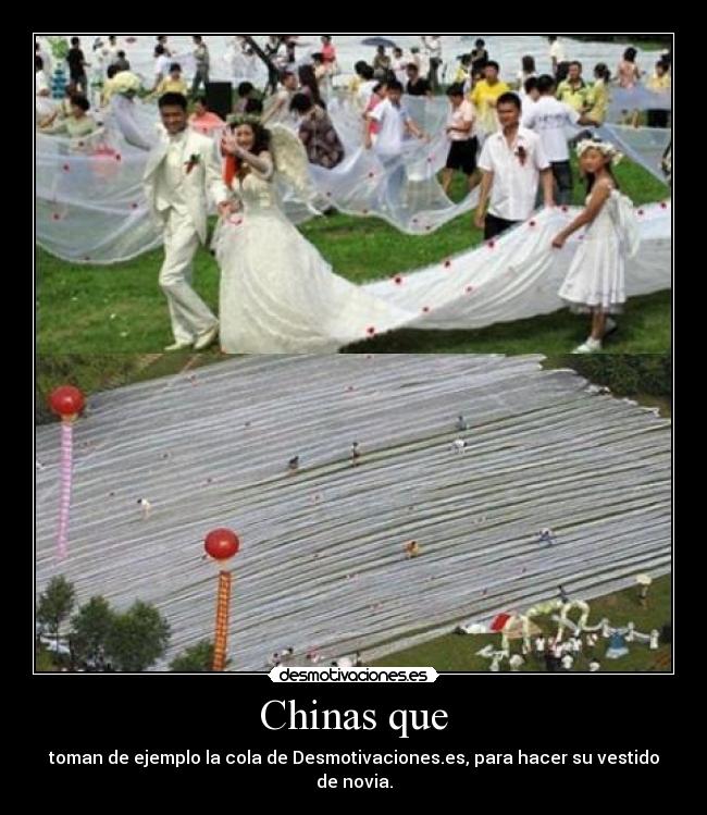 carteles chinas cola novia desmotivaciones