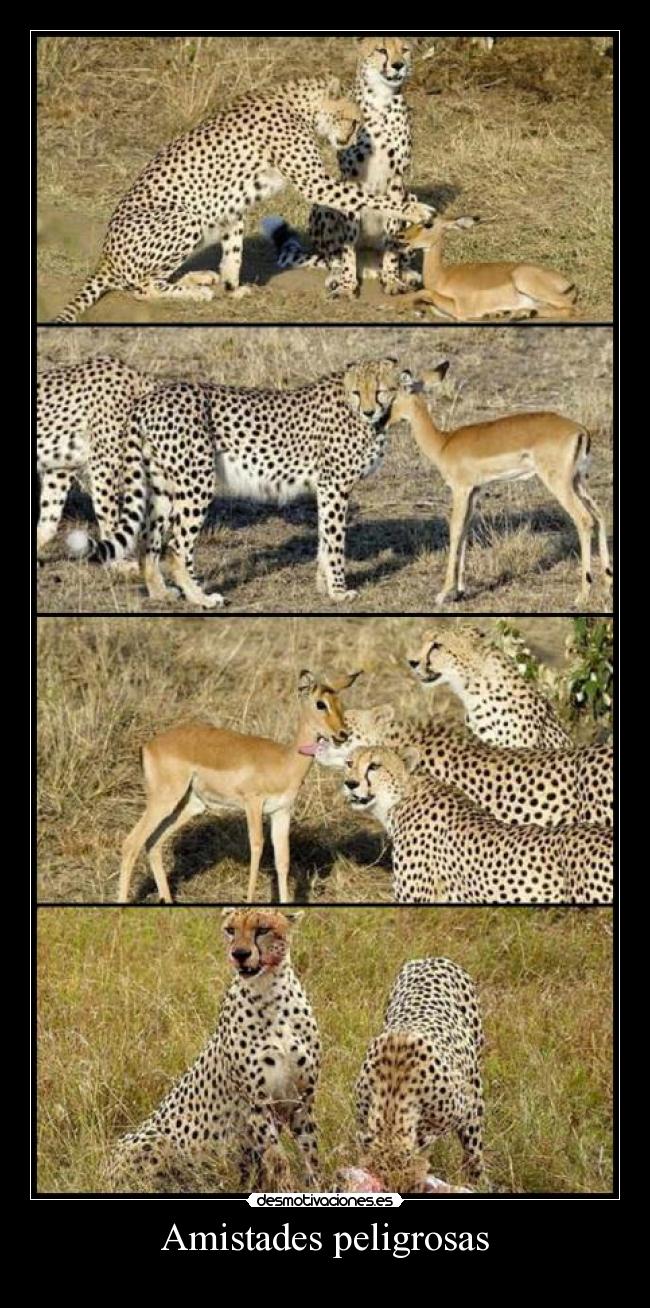 Amistades peligrosas -