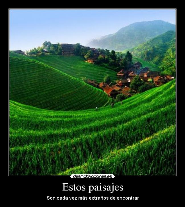 Estos paisajes - 