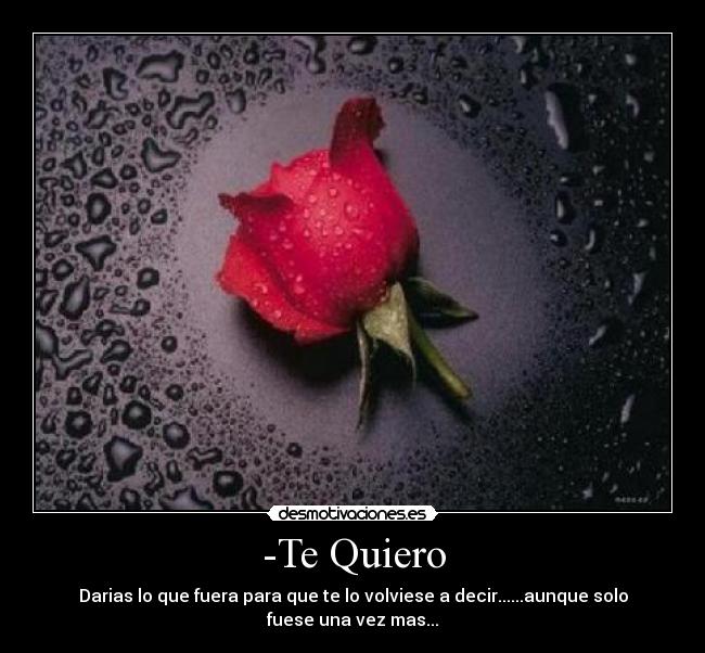 -Te Quiero -