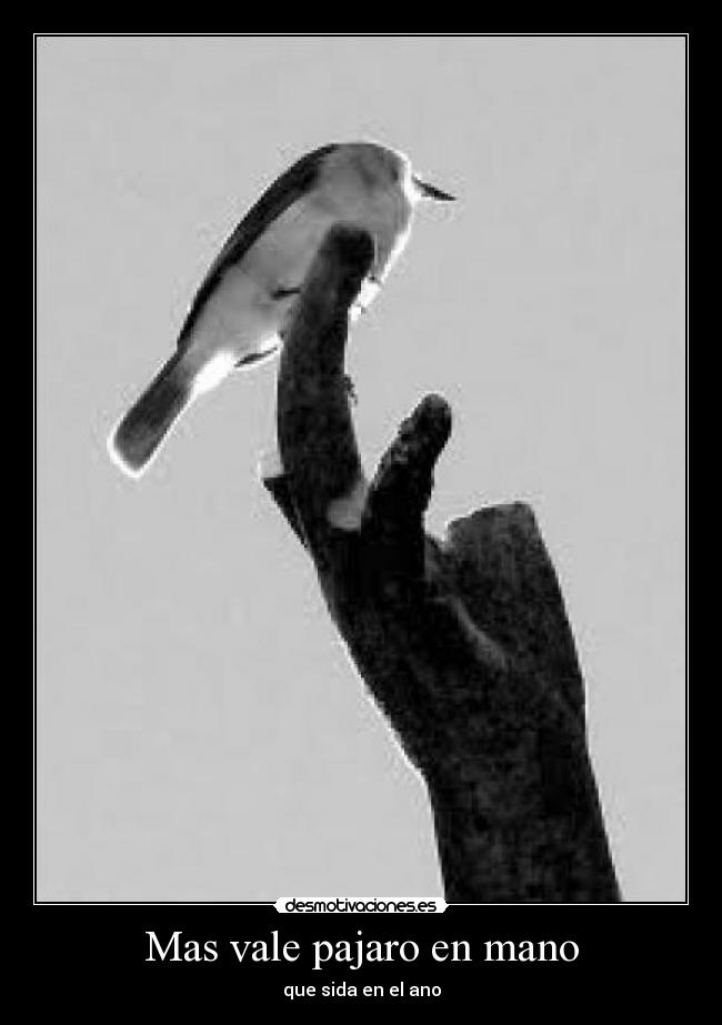 Mas vale pajaro en mano -