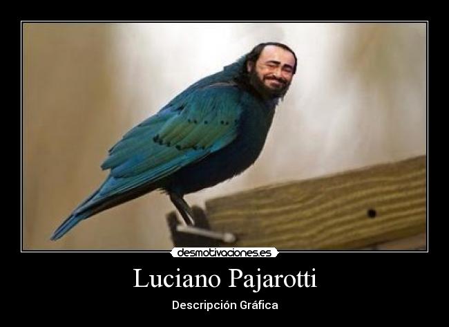 Luciano Pajarotti - Descripción Gráfica