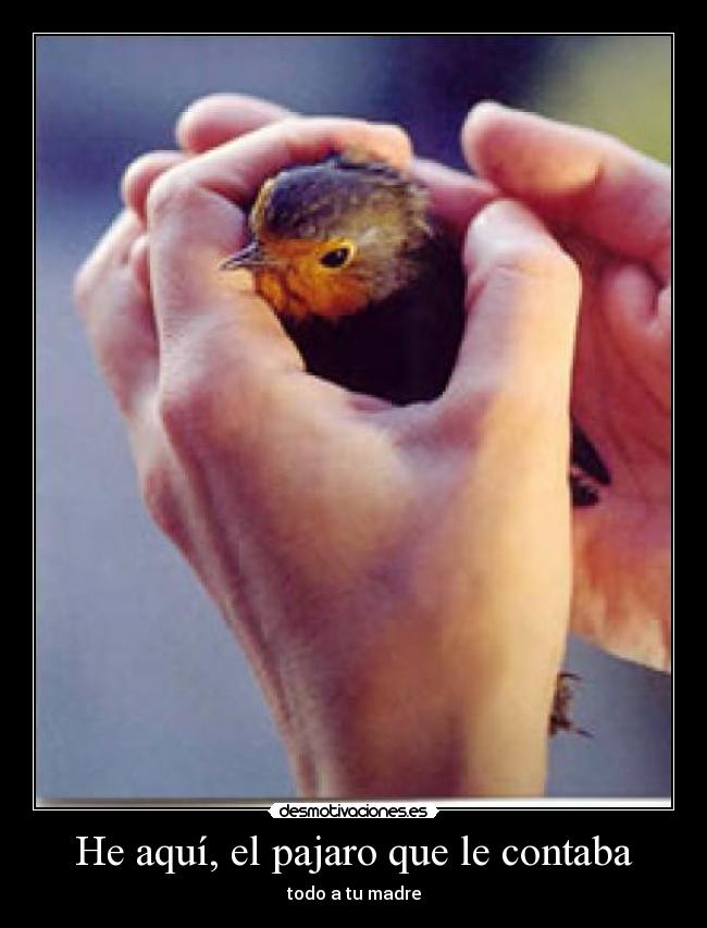 He aquí, el pajaro que le contaba - todo a tu madre