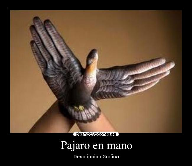 Pajaro en mano -